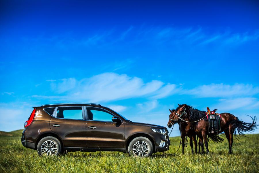  Geely Vision SUV (NL-4) 2016 года  (фото 13 из 30)